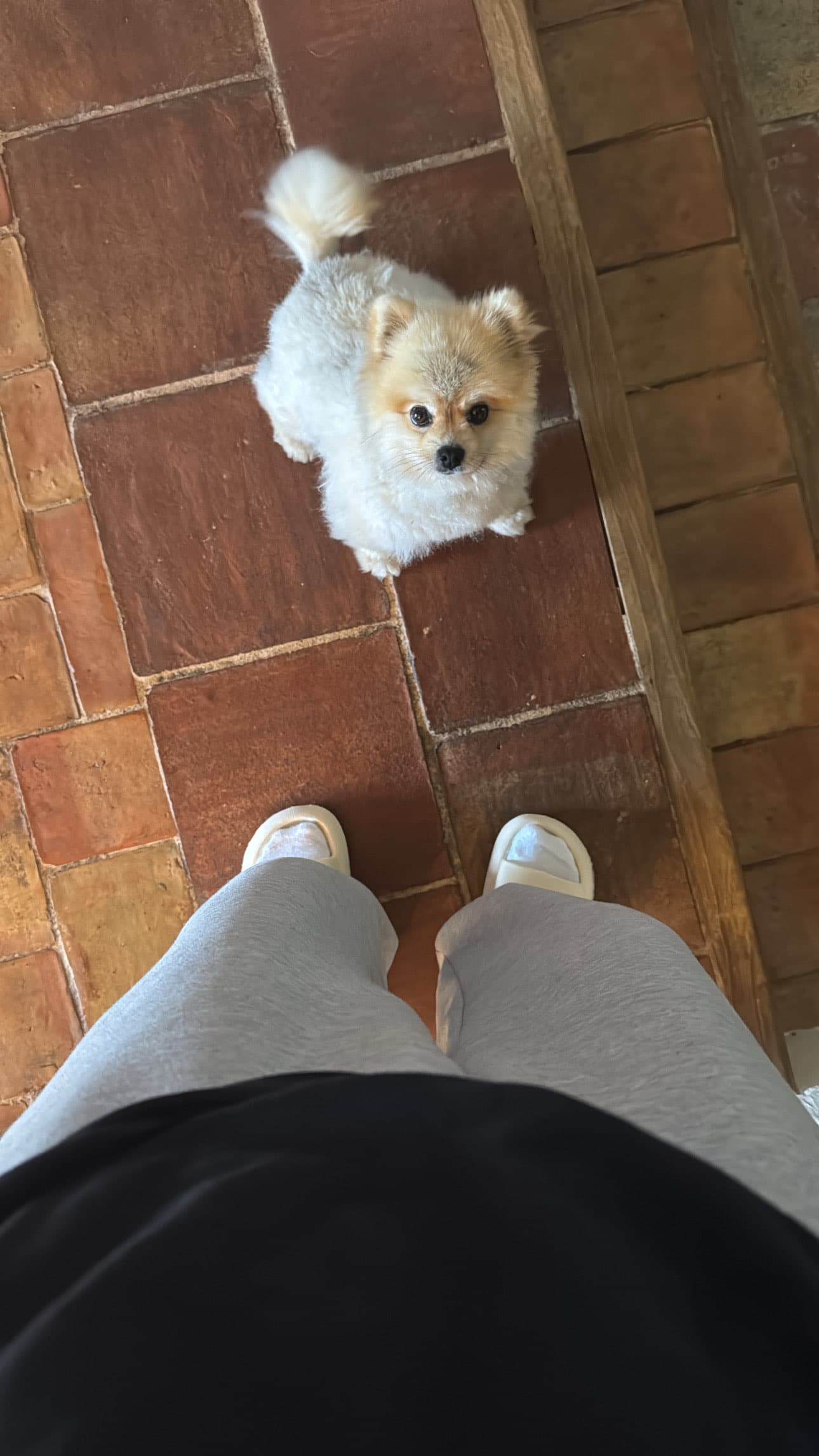 Photo de nos compagnons