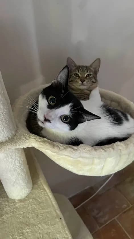 Photo de nos compagnons