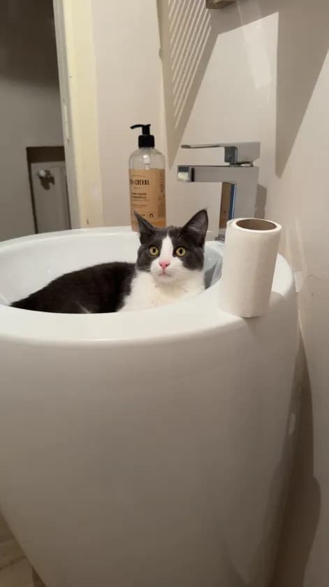 Photo de nos compagnons