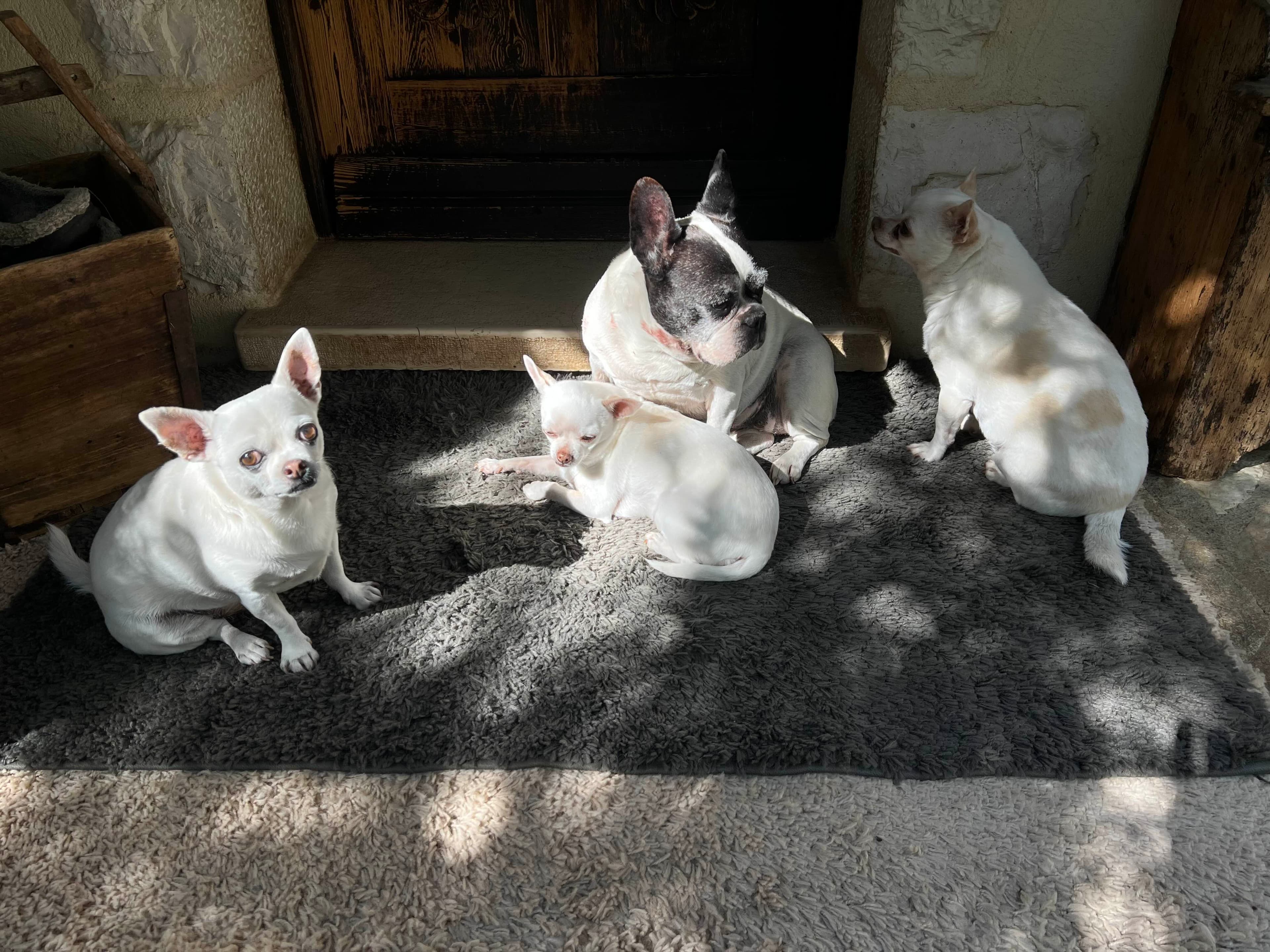 Notre petite famille