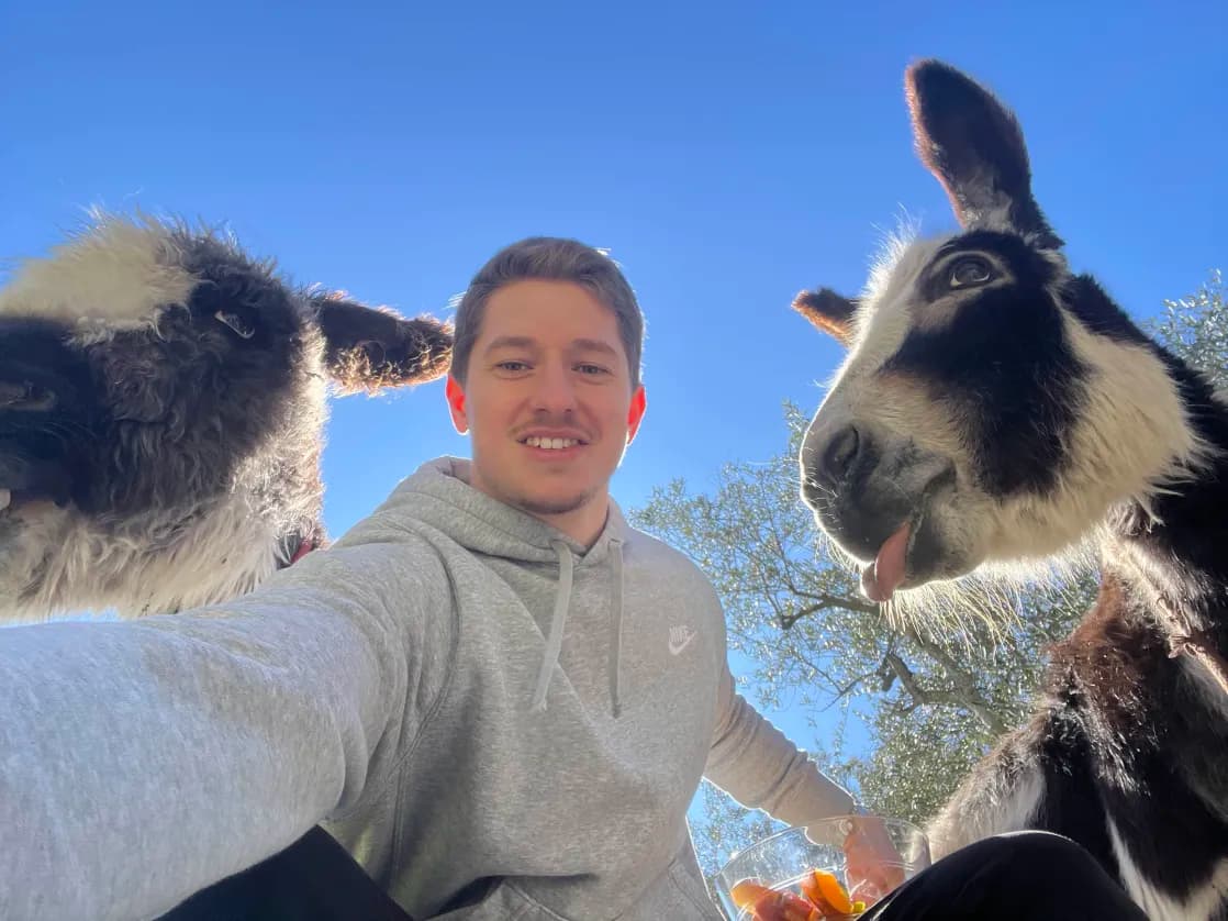 Photo de nos compagnons