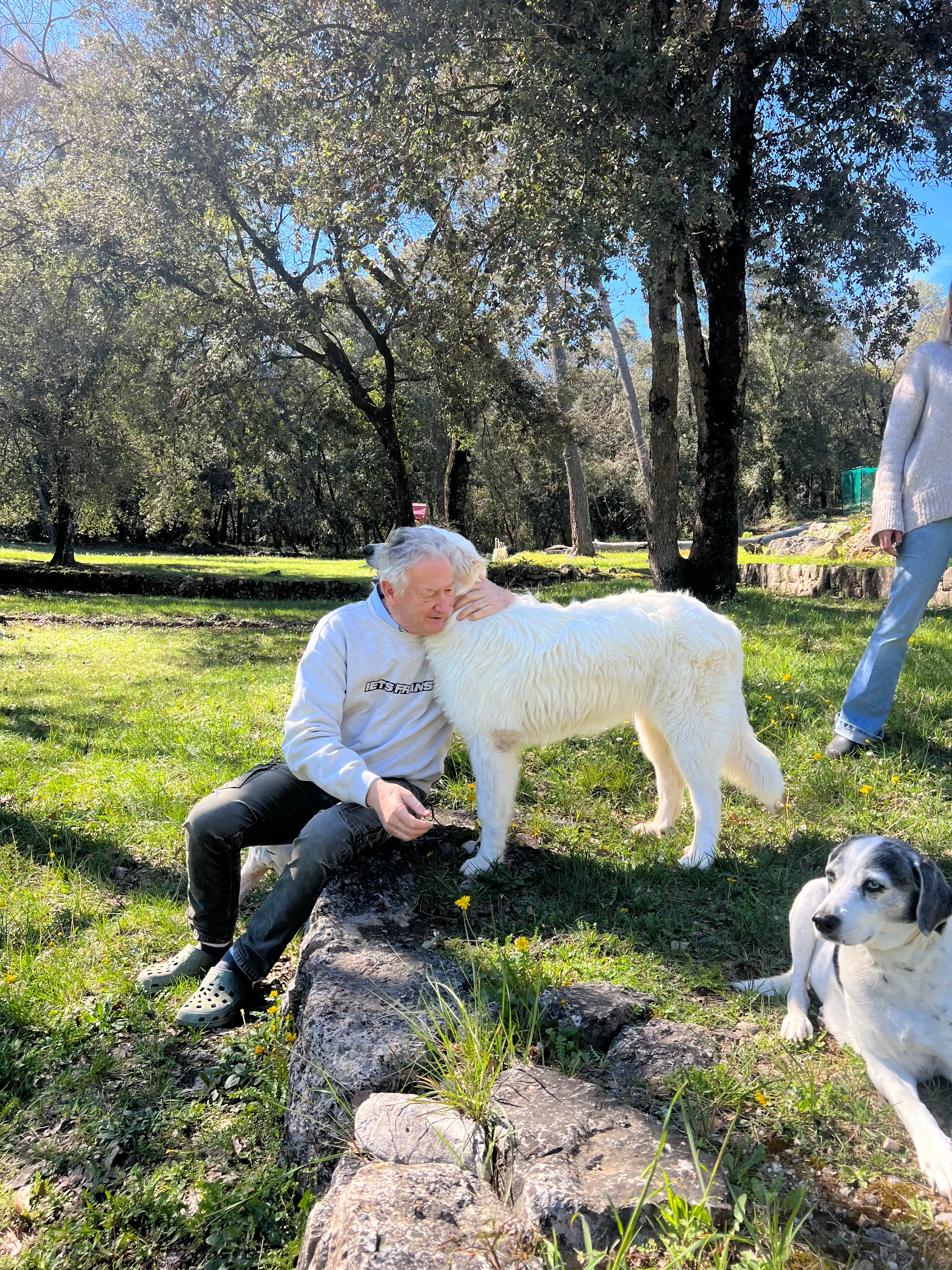 Photo de nos compagnons