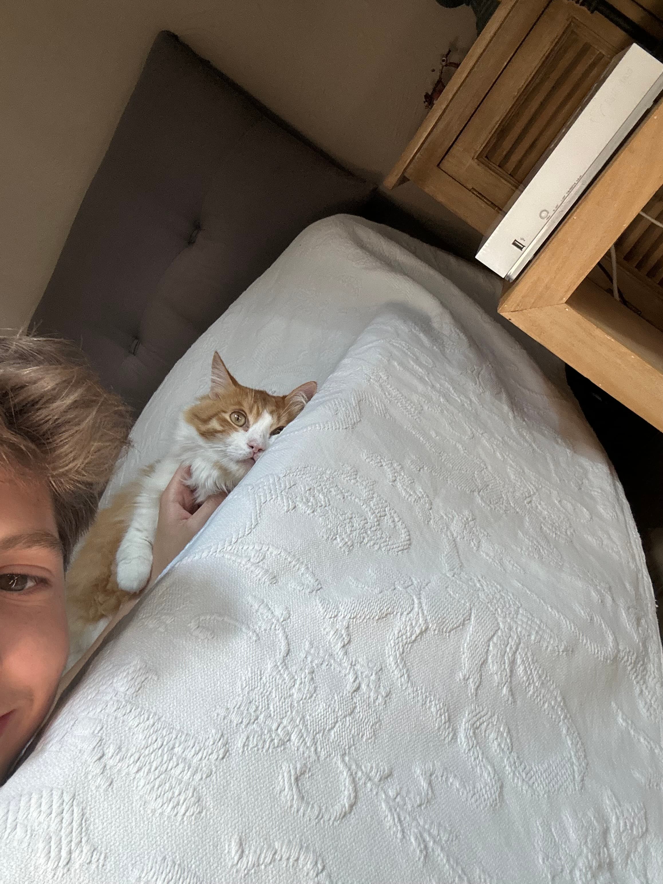 Photo de nos compagnons