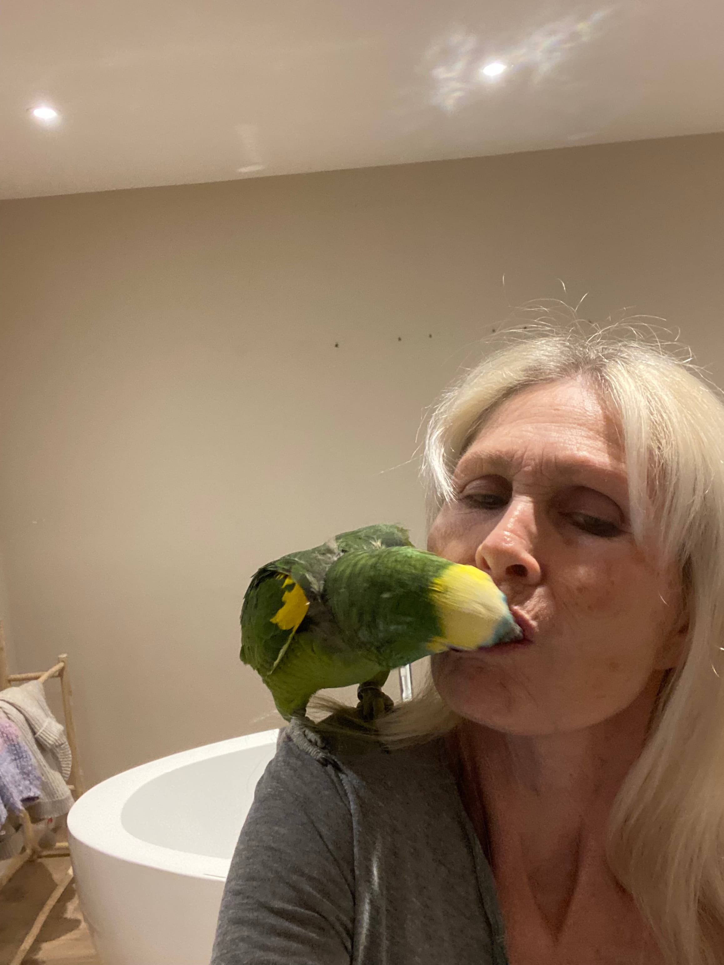 Photo de nos compagnons