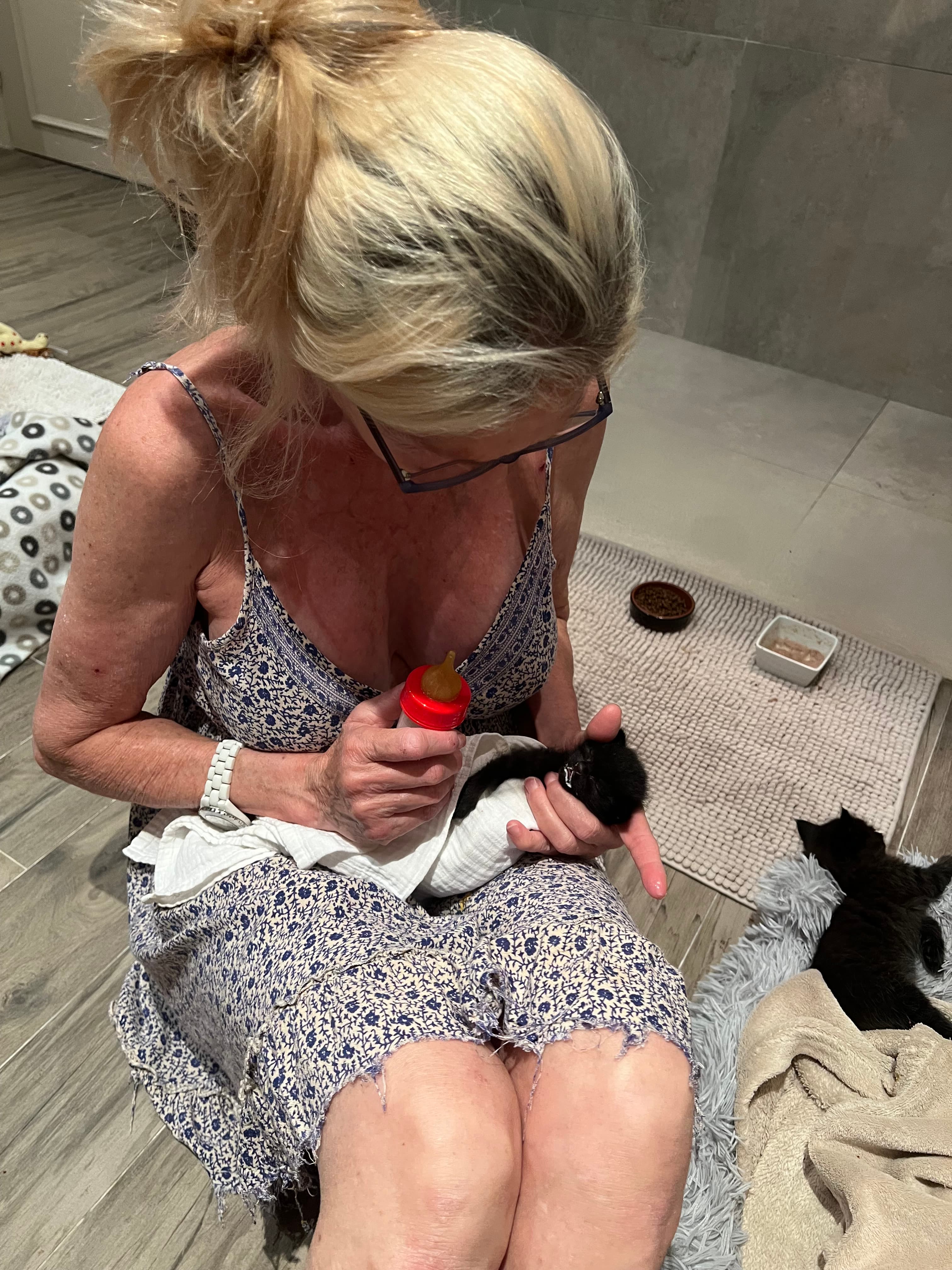 Photo de nos compagnons