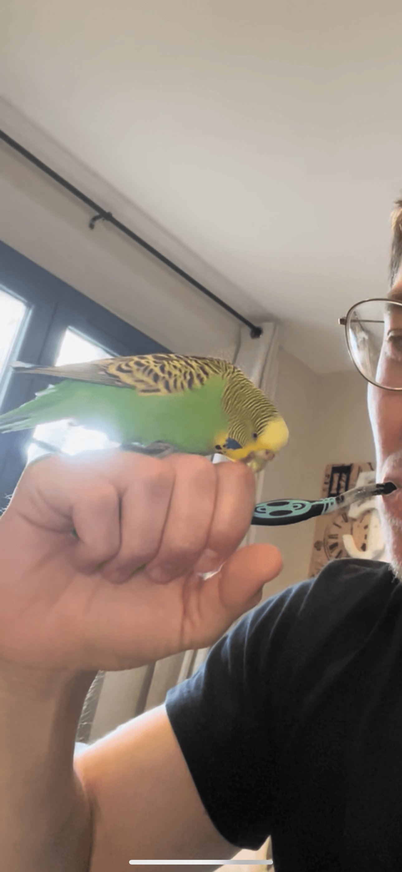 Photo de nos compagnons