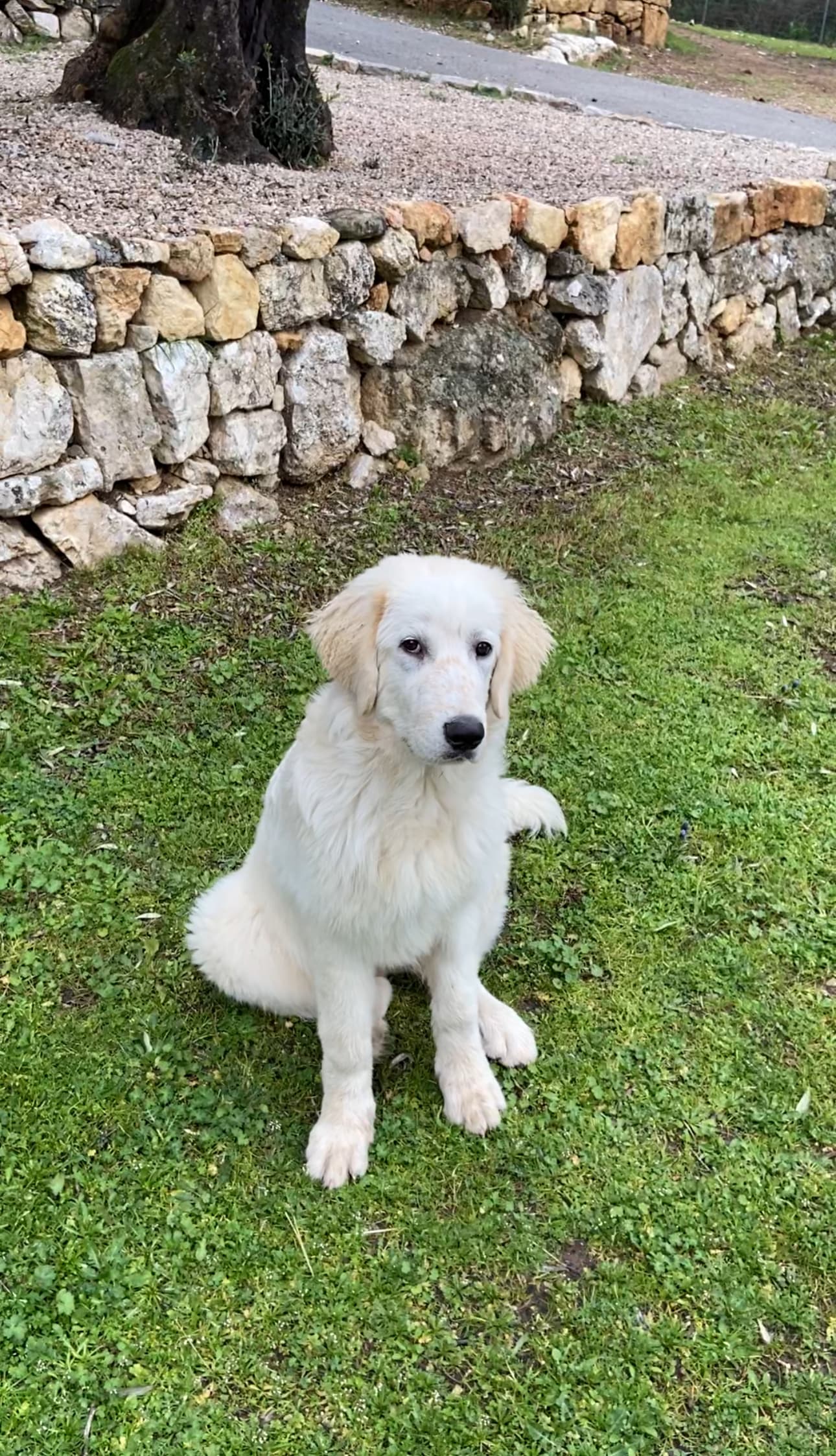 Photo de nos compagnons